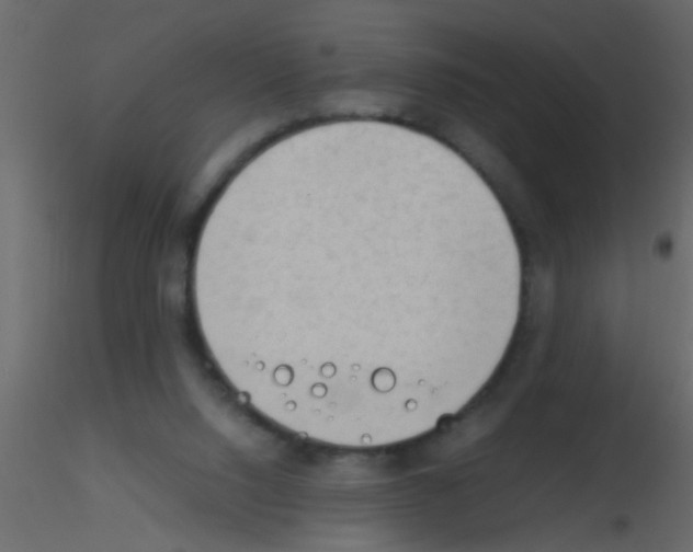 X0000115800064200912241901