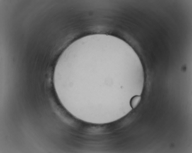 X0000115800065200912241901