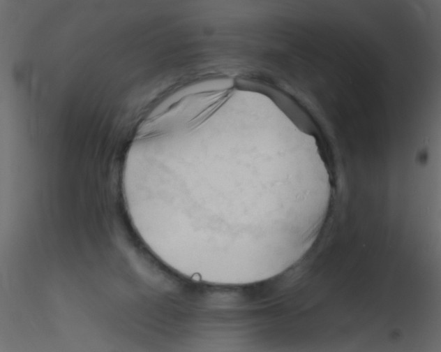 X0000115800066200912241901