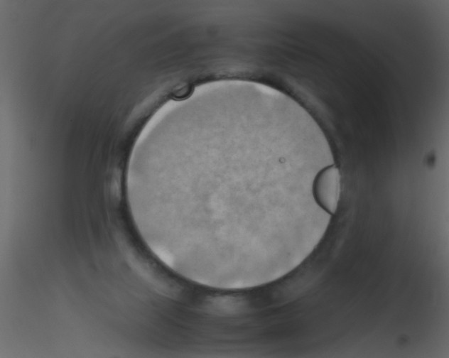 X0000115800067200912241901