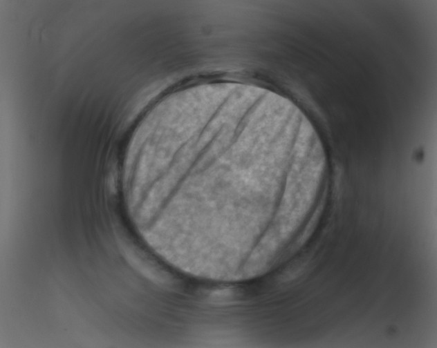 X0000115800068200912241902