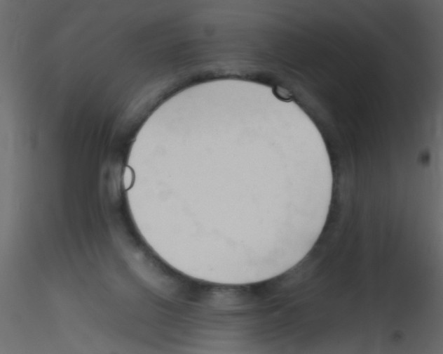 X0000115800070200912241902