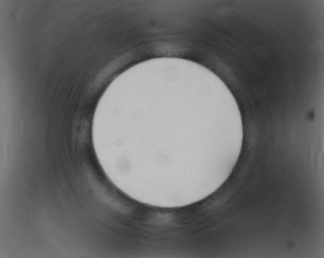 X0000115800071200912241902