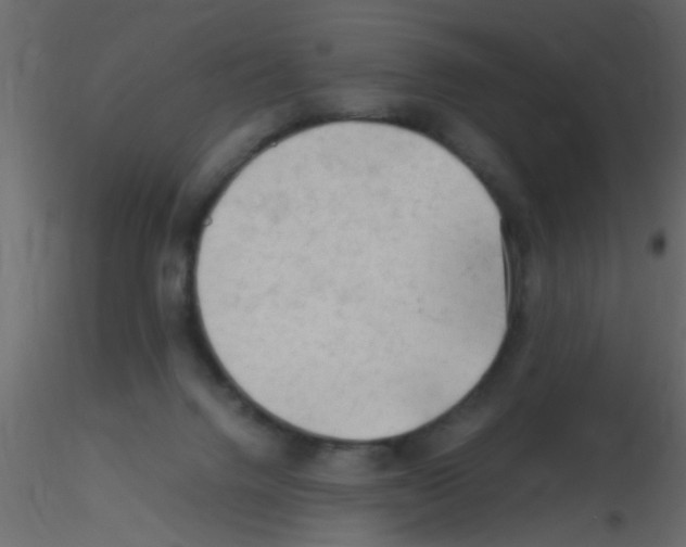 X0000115800072200912241902