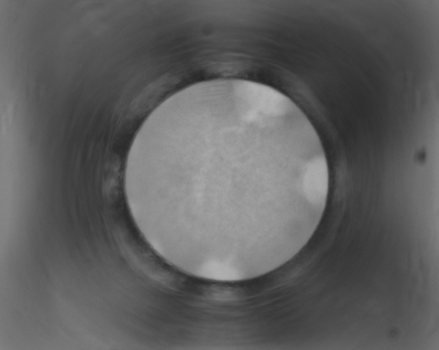 X0000115800073200912241902