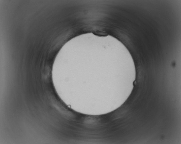 X0000115800077200912241902