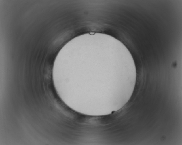 X0000115800078200912241902