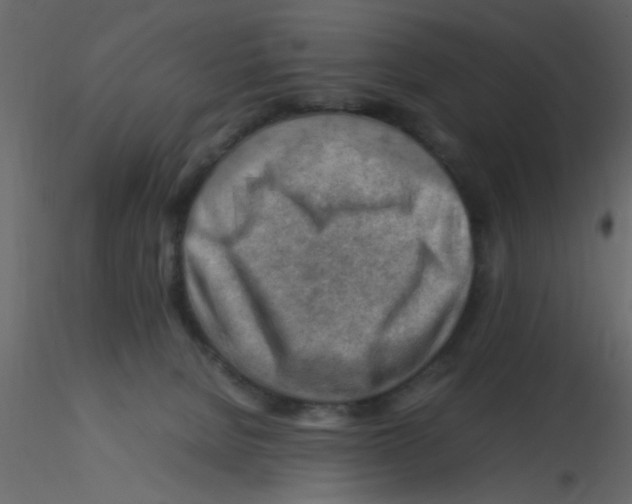 X0000115800080200912241902