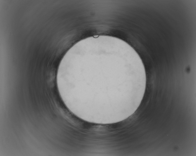 X0000115800082200912241902