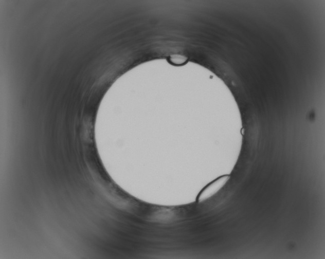 X0000115800083200912241902