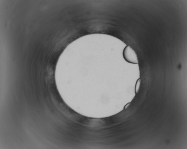 X0000115800087200912241902