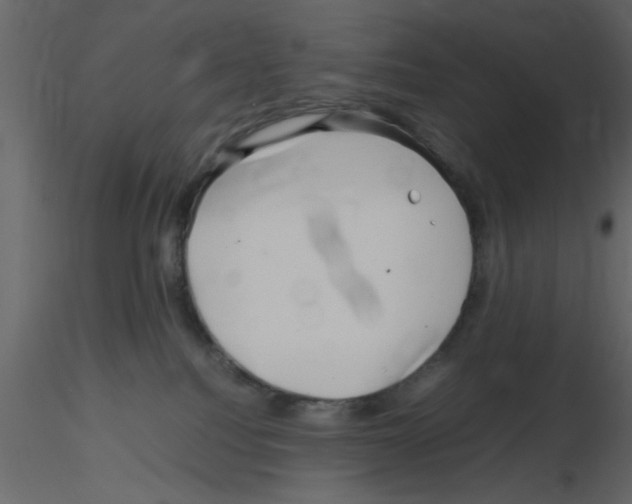 X0000115800088200912241902