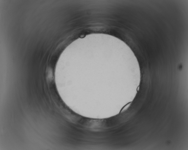 X0000115800089200912241902