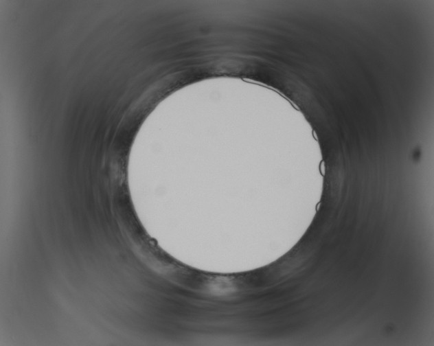 X0000115800091200912241902