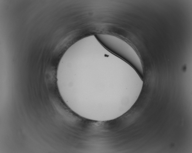 X0000115800092200912241902