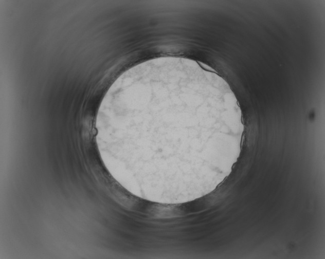 X0000115800093200912241902