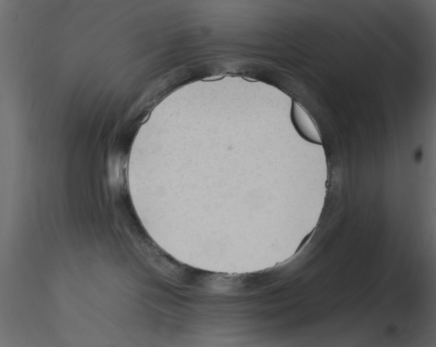 X0000115800094200912241902