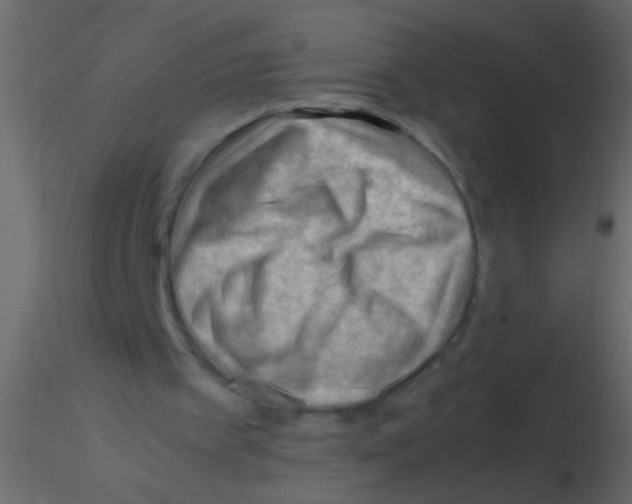 X0000115800097200912241901