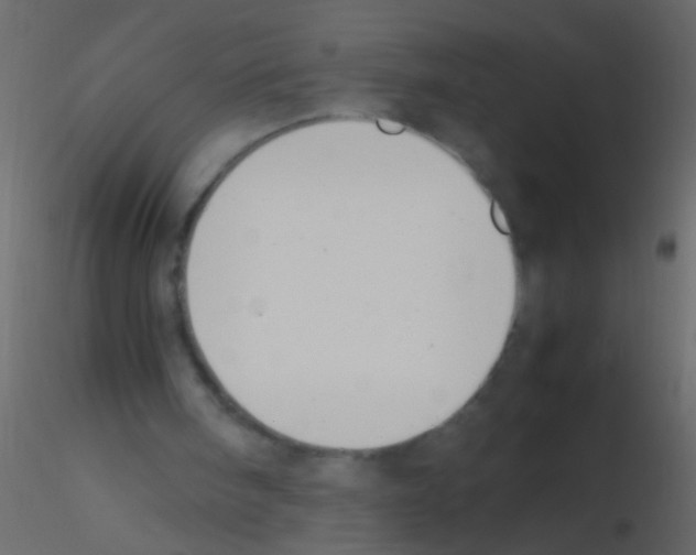 X0000115800098200912241901