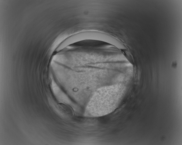 X0000115800099200912241901