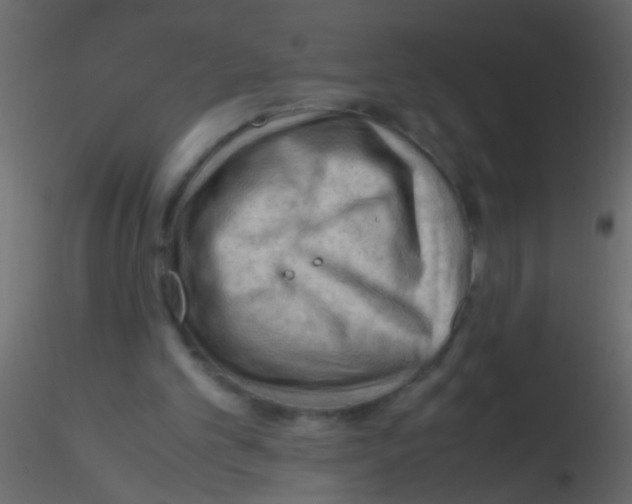 X0000115800101200912241901