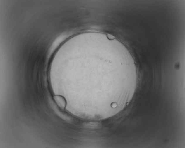 X0000115800102200912241901