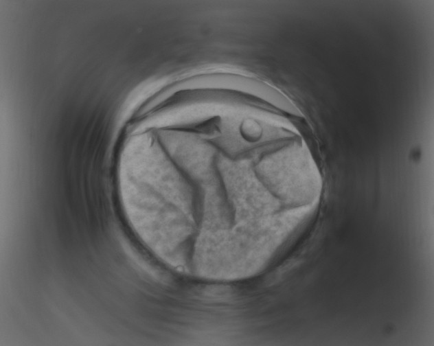 X0000115800104200912241901