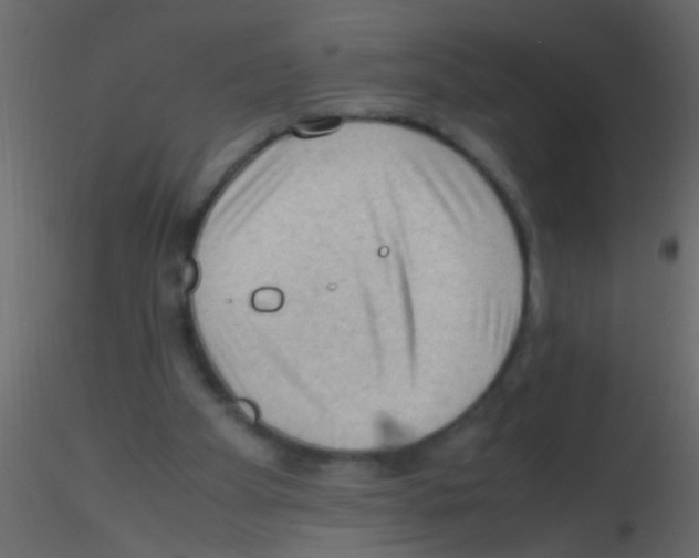 X0000115800105200912241901