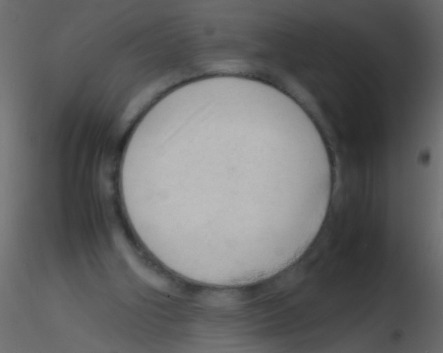 X0000115800106200912241901