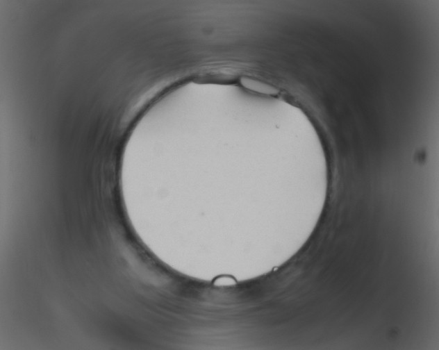 X0000115800107200912241901