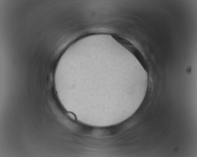 X0000115800109200912241901