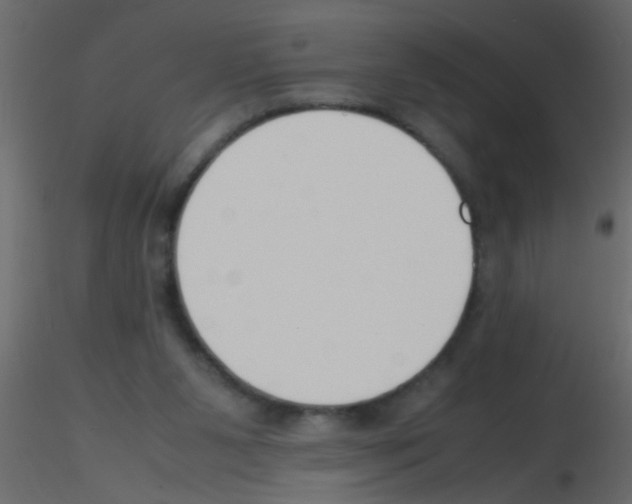 X0000115800111200912241901