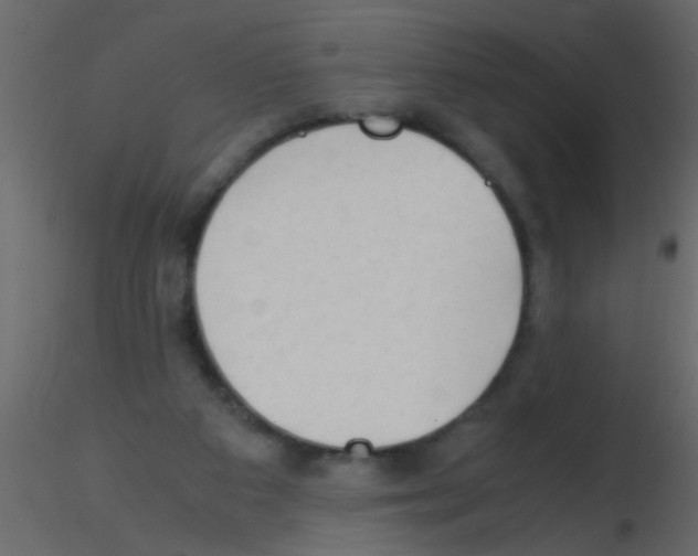 X0000115800113200912241901