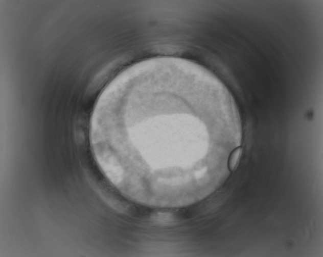 X0000115800114200912241901