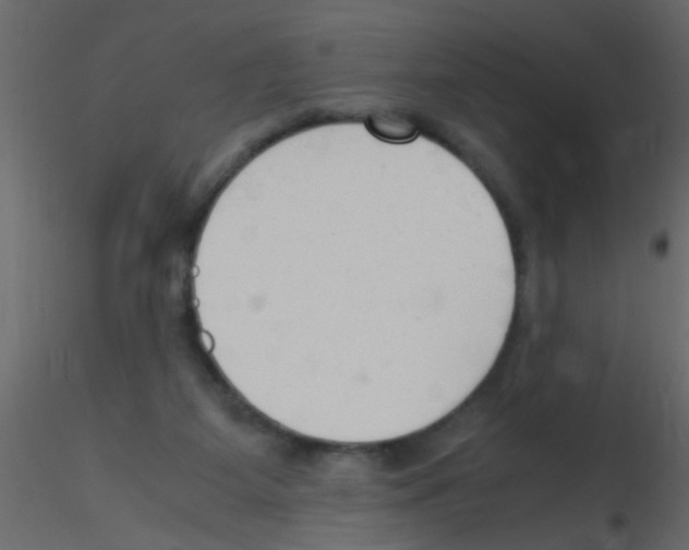 X0000115800115200912241901