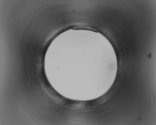 X0000115800116200912241901