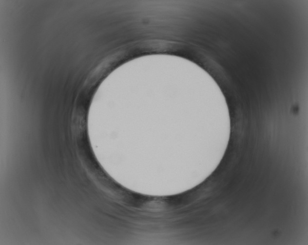 X0000115800119200912241901