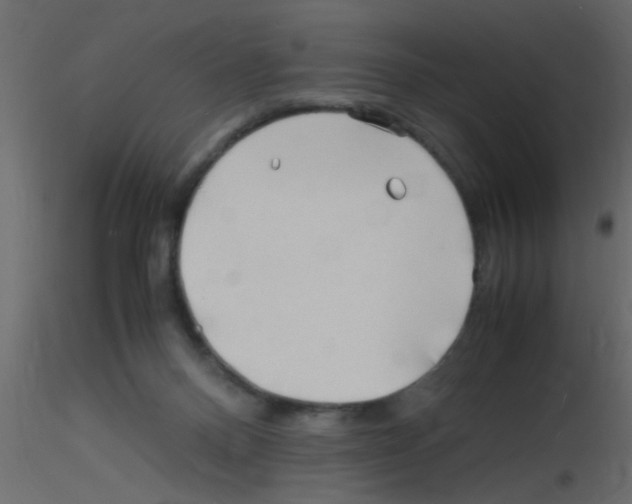 X0000115800120200912241901