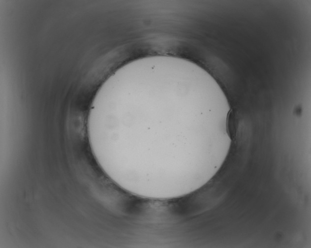 X0000115800121200912241901