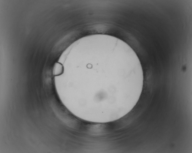 X0000115800122200912241901