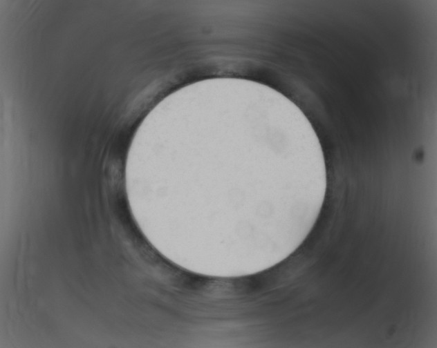 X0000115800123200912241901