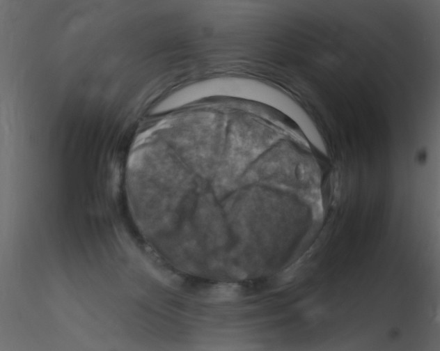 X0000115800124200912241901