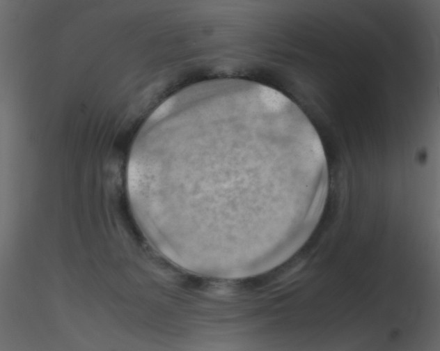 X0000115800127200912241901