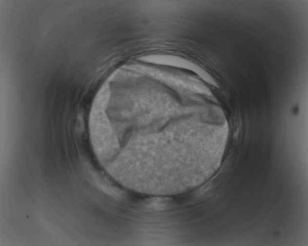 X0000115800128200912241901