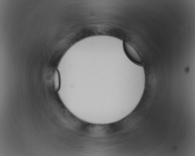 X0000115800129200912241901