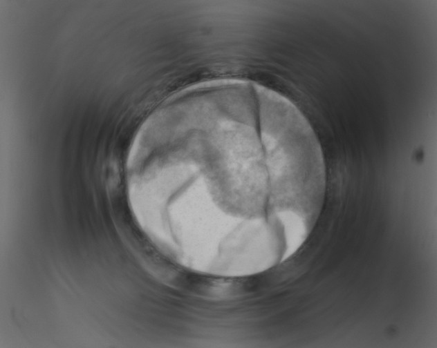 X0000115800130200912241901