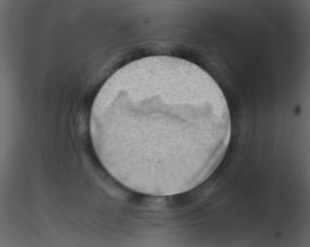 X0000115800131200912241901