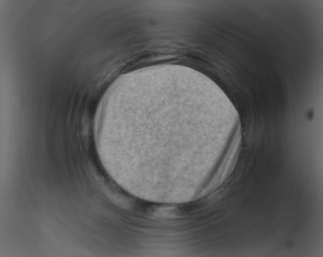 X0000115800132200912241901