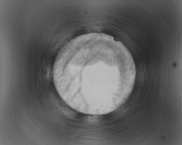 X0000115800134200912241901