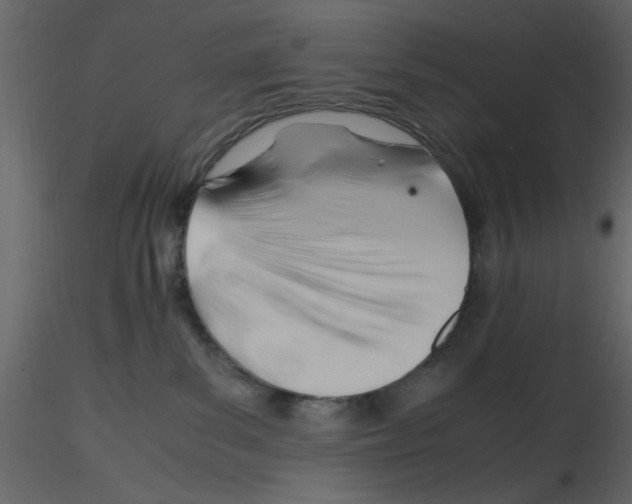 X0000115800139200912241901